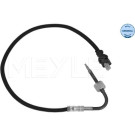 SENSOR, ABGASTEMPERATUR | 0148000196