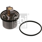 FEBI BILSTEIN Thermostat | 31967