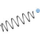 Meyle Fahrwerksfeder Renault T. Laguna 01-All (Kombi) | 16-14 739 0005