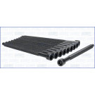 Zylinderkopfschraubensatz | 81036300