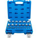 BGS Steckschlüssel-Einsatz-Satz Sechskant | Antriebe Innenvierkant 6,3 mm (1/4""""), 12,5 mm (1/2"""") | Zollmaße | 24-tlg | 2246