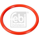 Dichtung, Kühlmittelflansch | 100078