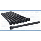 Zylinderkopfschraubensatz | 81066500