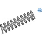Meyle Fahrwerksfeder Db T. W124 | 014 032 0485
