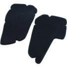 Motorluftfilter. Piaggio Hexagon 125-150-180 | 10 060 0471