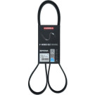 KAMOKA Keilrippenriemen 7016117