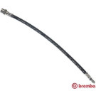 BREMBO Bremsschlauch