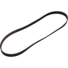 Keilrippenriemen 6Pk1145 | PEUGEOT,VW,TOYOTA,SEAT | 1987947943