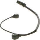 0 261 231 200 Klopfsensor