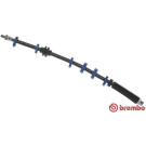 BREMBO Bremsschlauch | T 23 112