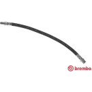 BREMBO Bremsschlauch | T 50 052