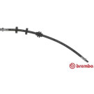 BREMBO Bremsschlauch | T 23 148