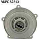 SKF Wasserpumpe VKPC 87813