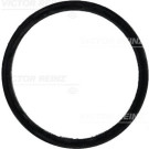 Dichtung Ansaugkrümmer(8-10x/Mot) | MERCEDES | 71-31647-00