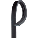 GATES Rillenriemen | 38351