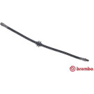 BREMBO Bremsschlauch | T 68 088