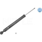 Stoßdämpfer | 267250031