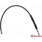 BREMBO Bremsschlauch | T 85 131
