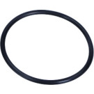 Original VAG Filtergehäusedichtung VW Golf 03 | N91084501