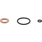 Einspritzdüse Dichtungssatz | 883.700 Einspritzdüse Dichtungssatz | 883.700