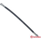 BREMBO Bremsschlauch | T 59 023