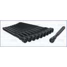 AJUSA Zylinderkopfschraubensatz 81019400