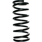 SPIDAN Fahrwerksfeder | 48608