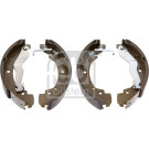 FEBI BILSTEIN Bremsbacken | 02910