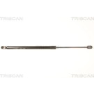 Gasfeder, Koffer-/Laderaum | 871050244