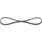 Keilrippenriemen FORD Elastic 1987946118