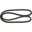 Keilriemen | NISSAN,MITSUBISHI,VW,FORD | 1987947661