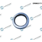 DRM02171 Wellendichtring, Differential