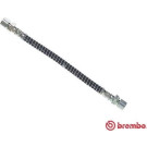 BREMBO Bremsschlauch | T 10 009