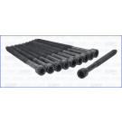 Zylinderkopfschraubensatz | 81038000