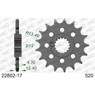AFAM Ritzel 17 Zähne | für 520 | 22802-17