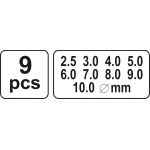 Lederlochset 9-Tlg YT-3590 Lederlochset 9-Tlg YT-3590