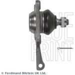 BluePrint Traggelenk ADT386144 BluePrint Traggelenk ADT386144
