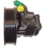 LIZARTE Hydraulikpumpe, Lenkung 04.05.1243-1 LIZARTE Hydraulikpumpe, Lenkung 04.05.1243-1