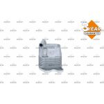 NRF Ölkühler, Motoröl NRF31208 NRF Ölkühler, Motoröl NRF31208
