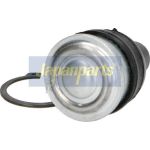 Gelenk - Radaufhängung Nissan P. Tiida 06- Le/Pr BJ-135