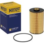 HENGST FILTER Kraftstofffilter E10KP D10 HENGST FILTER Kraftstofffilter E10KP D10