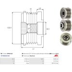 AS-PL Freilauf AFP6013(V) AS-PL Freilauf AFP6013(V)