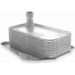 Vemo Motorölkühler V30-60-1323 Vemo Motorölkühler V30-60-1323