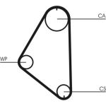 Continental CTAM Timing-Kit CT558WP1 Continental CTAM Timing-Kit CT558WP1