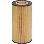 Hengst Ölfilter E89H D734 Hengst Ölfilter E89H D734