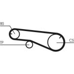Zahnrimsatz CT1109K1