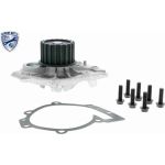 Vaico Wasserpumpe / Kühlmittelpumpe V95-50008 Vaico Wasserpumpe / Kühlmittelpumpe V95-50008