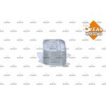 NRF Ölkühler, Motoröl 31286 NRF Ölkühler, Motoröl 31286