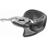 Vaico Bremsscheiben-Spritzblech V30-3223 Vaico Bremsscheiben-Spritzblech V30-3223