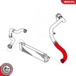 43SKV014 SKV GERMANY Luftschlauch 43SKV014 43SKV014 SKV GERMANY Luftschlauch 43SKV014